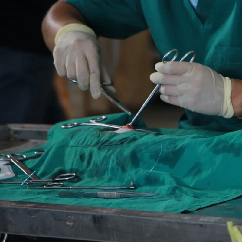 cirugía veterinaria en medellín