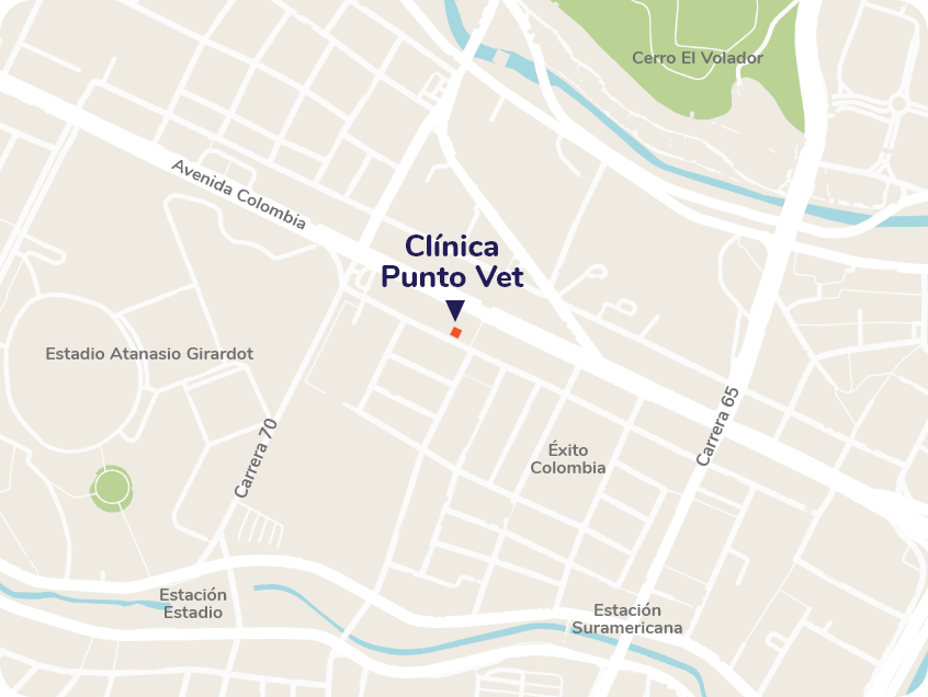 ubicación punto vet clinica veterinaria