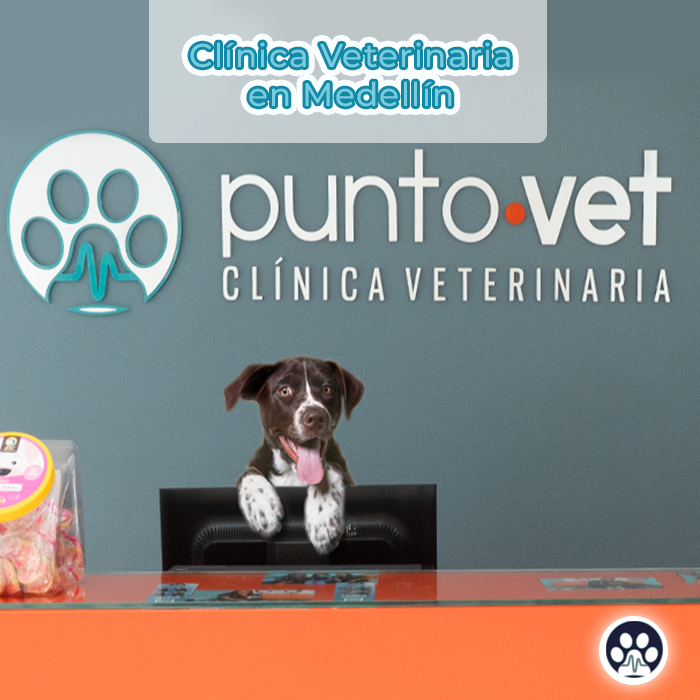 Clínica veterinaria en Medellín