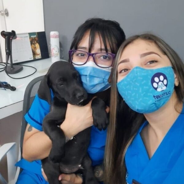 Veterinaria Antioquia