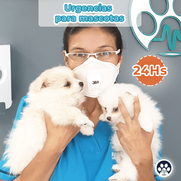 Urgencias Mascotas