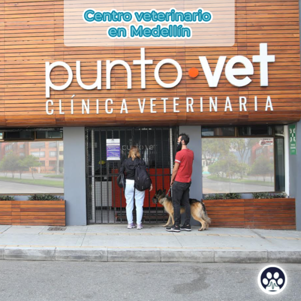 centroveterianarioenmedellin