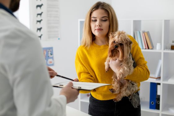 certificado médico veterinario nacional