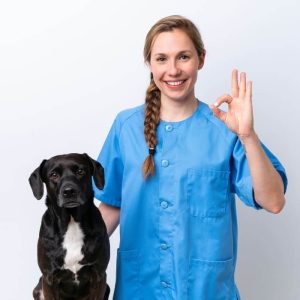 clínica veterinaria 24 horas cerca de mi