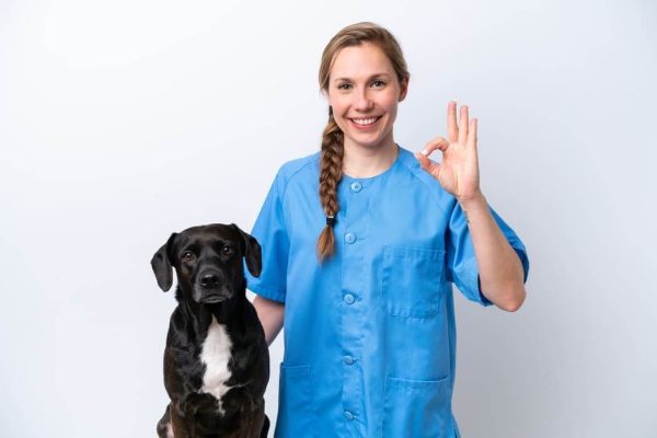 clínica veterinaria 24 horas cerca de mi